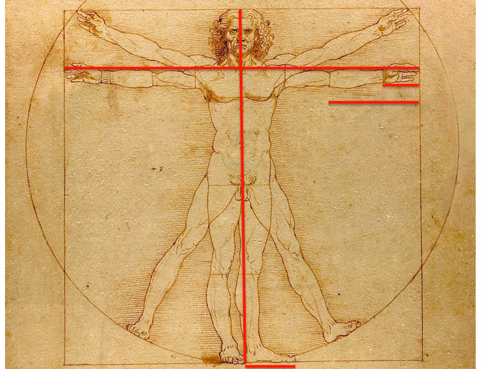 «Den vitruviske mann» (Vedlegg 2)