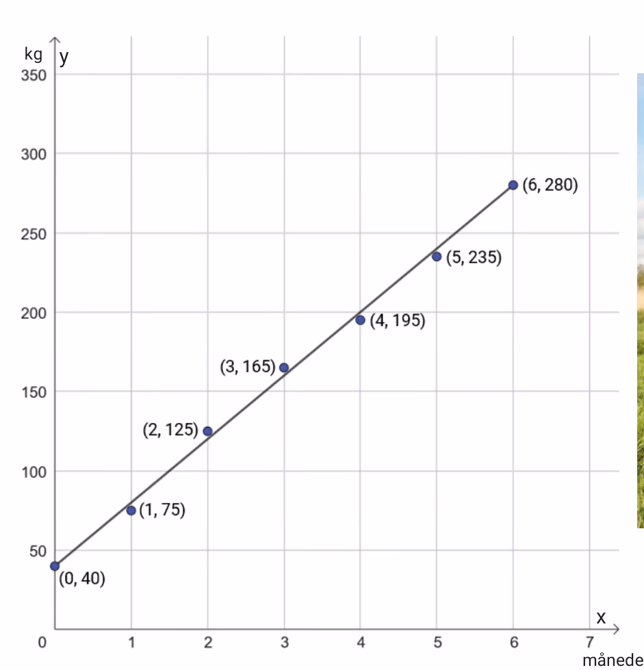 Kalvens vekt i kg de seks første månedene, med punktene (0, 40), (1, 75), (2, 125), (3, 165), (4, 195), (5, 235) og (6, 280)