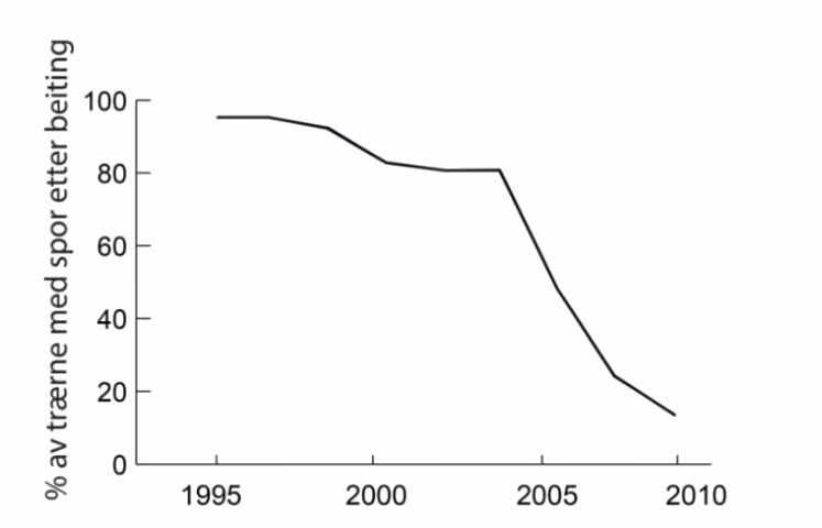Prosentvis andel av ospetrær med spor etter beiting i perioden 1995–2010.
