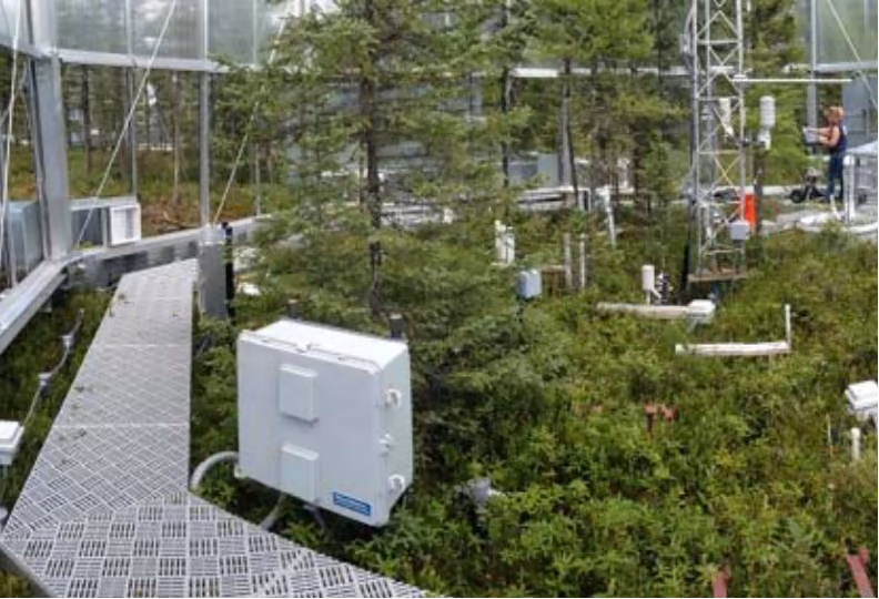 Innhegning der $\mathrm{CO_2}$-konsentrasjonen er doblet og temperaturen er økt med 9 °C.