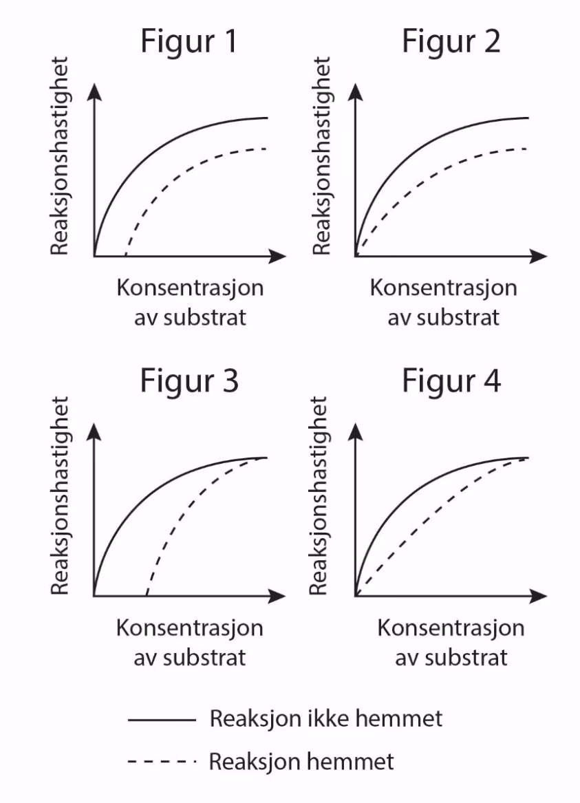 Fire figurer med reaksjonshastighet som funksjon av konsentrasjon av substrat, for reaksjon ikke hemmet (heltrukken linje) og reaksjon hemmet (stiplet linje)
