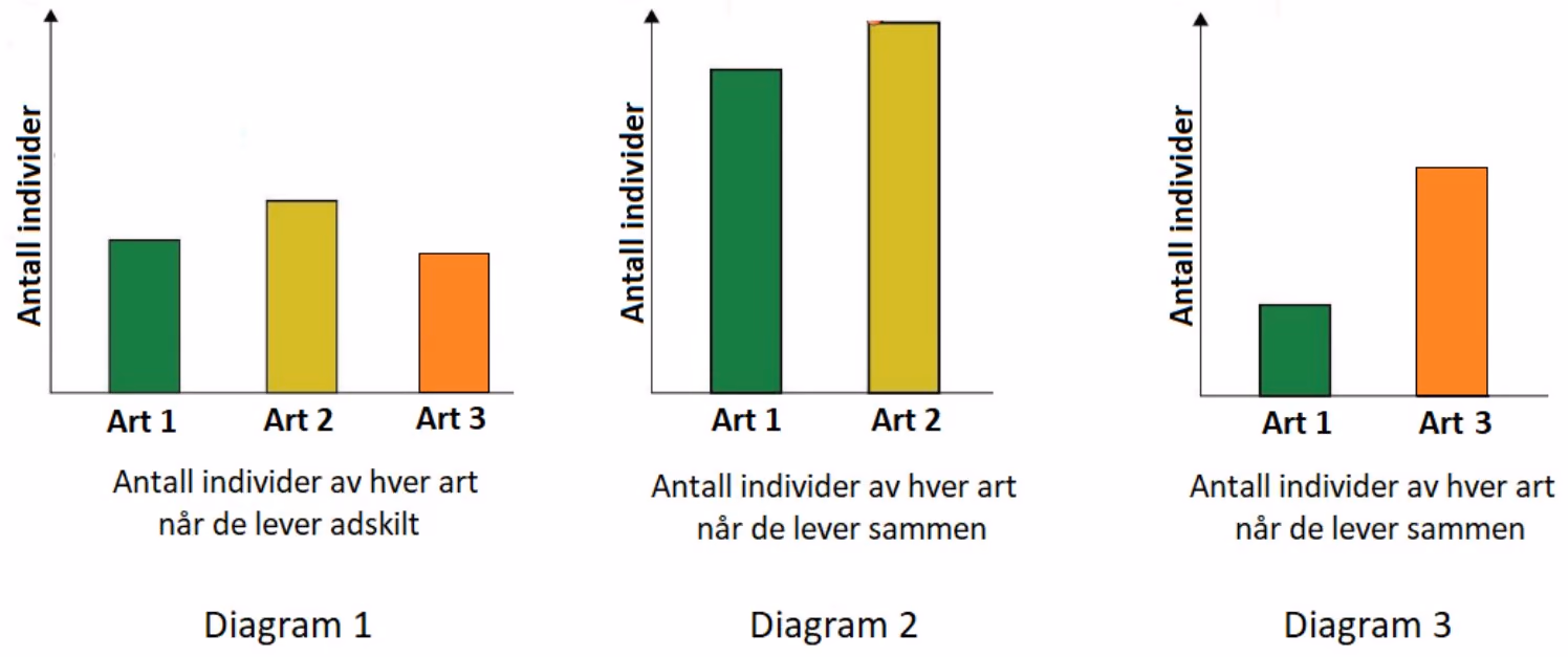 Diagram 1 viser antall individer av art 1, 2 og 3 når de lever adskilt. Diagram 2 viser art 1 og 2 når de lever sammen, og diagram 3 viser art 1 og 3 når de lever sammen.
