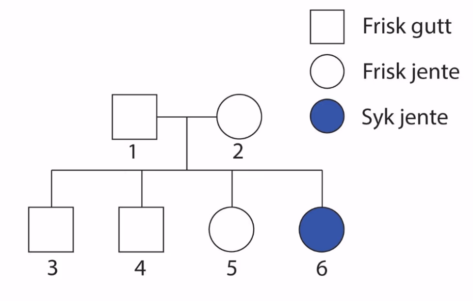 Slektstre der foreldrene 1 (frisk mann) og 2 (frisk kvinne) har barna 3 og 4 (friske gutter), 5 (frisk jente) og 6 (syk jente)