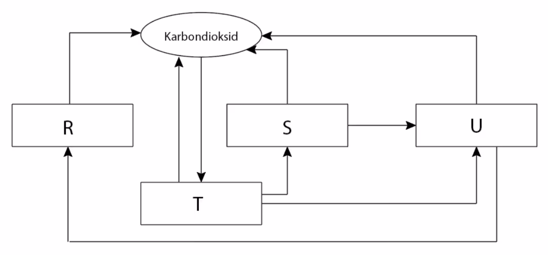 Karbonkretsløp. Karbondioksid går til T. T, S, U og R avgir karbondioksid. Piler går fra T til S, fra T til U, fra S til U og fra U til R.