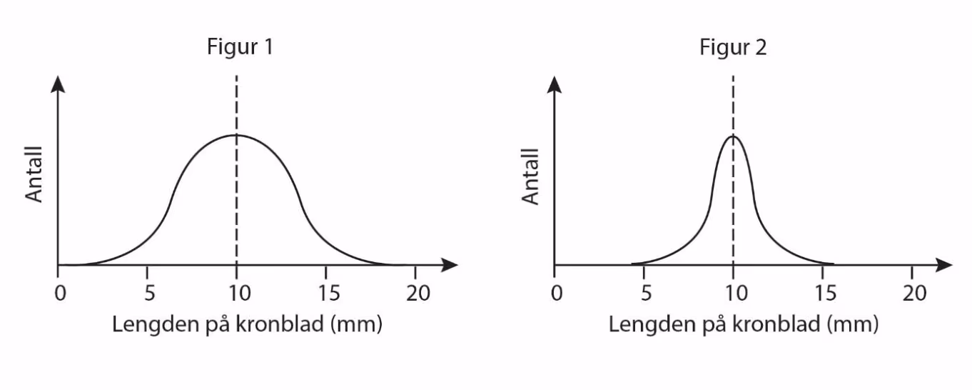 Figur 1: bred fordeling av antall mot lengden på kronblad (mm) med topp ved 10 mm. Figur 2: smal fordeling med topp ved 10 mm.