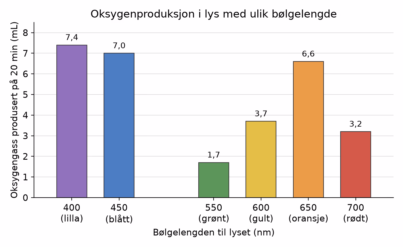 Oksygengass produsert på 20 minutter i lys med ulik bølgelengde