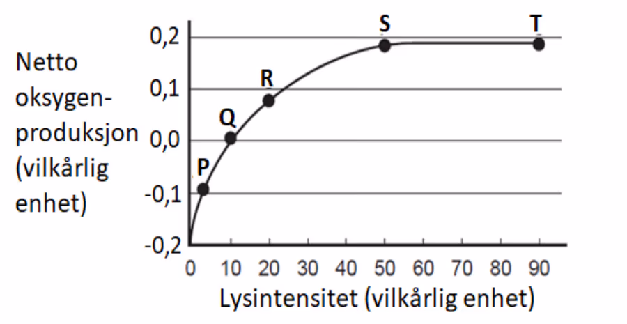 Netto oksygenproduksjon (vilkårlig enhet) som funksjon av lysintensitet (vilkårlig enhet) med punktene P, Q, R, S og T