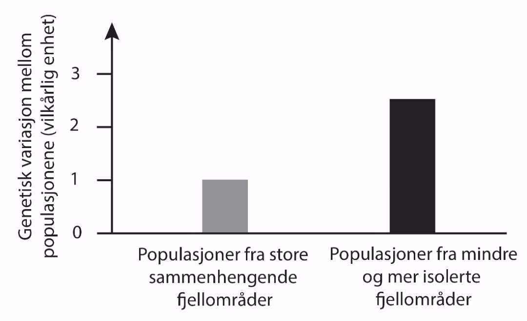 Genetisk variasjon hos rypepopulasjoner fra store sammenhengende høyfjellsområder og hos rypepopulasjoner fra mindre og mer isolerte høyfjellsområder