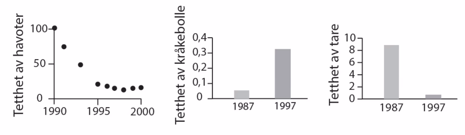 Tetthet av havoter 1990–2000 (til venstre), tetthet av kråkebolle i 1987 og 1997 (i midten) og tetthet av tare i 1987 og 1997 (til høyre)