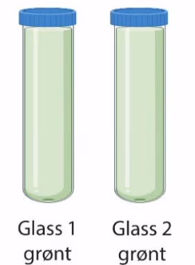 Glass 1 og glass 2 med grønt vann