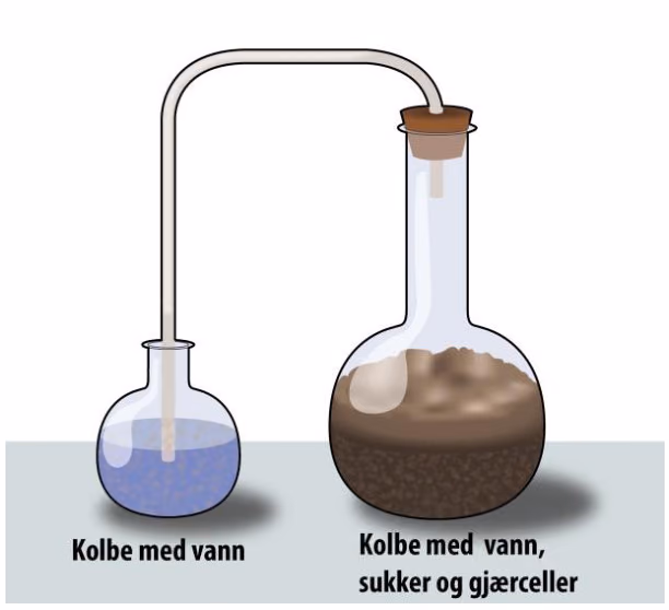 Oppsett for ølbrygging med en kolbe med vann, sukker og gjærceller koblet med et rør til en kolbe med vann