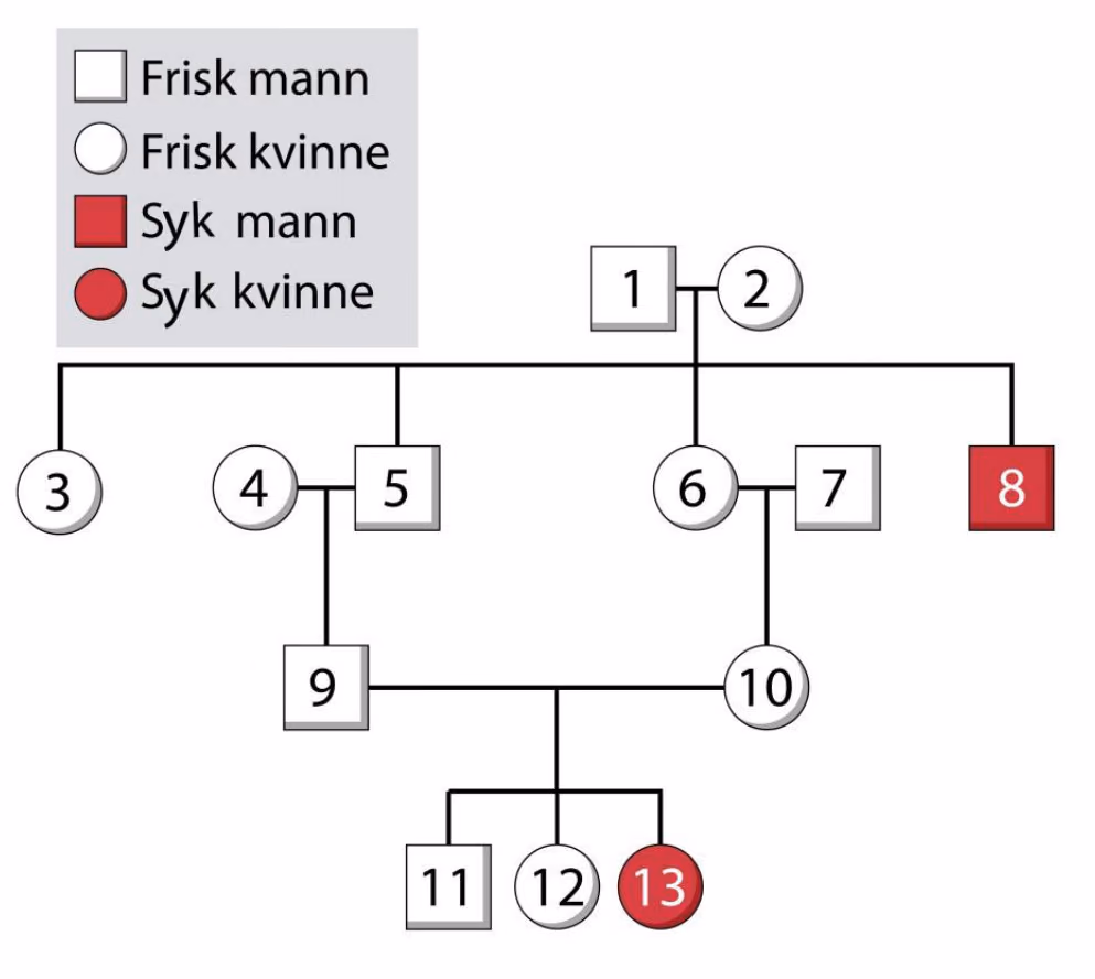 Stamtavlen viser monohybrid nedarving av CTD gjennom fire generasjoner.