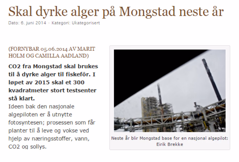 Utklipp fra nettsiden til Norsk Algeforening.