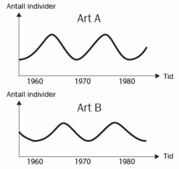 Antall individer av art A og art B fra 1960 til etter 1980, begge svinger med omtrent ti års periode