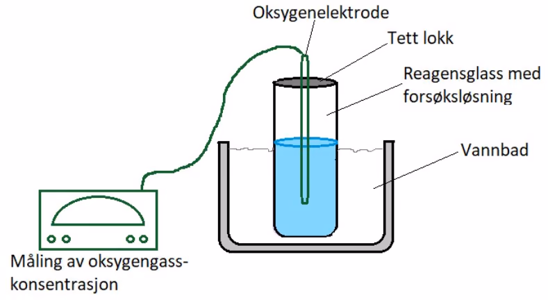 Oppsett i celleåndingsforsøket.