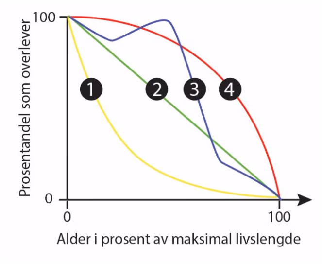Fire overlevelseskurver med prosentandel som overlever som funksjon av alder i prosent av maksimal livslengde