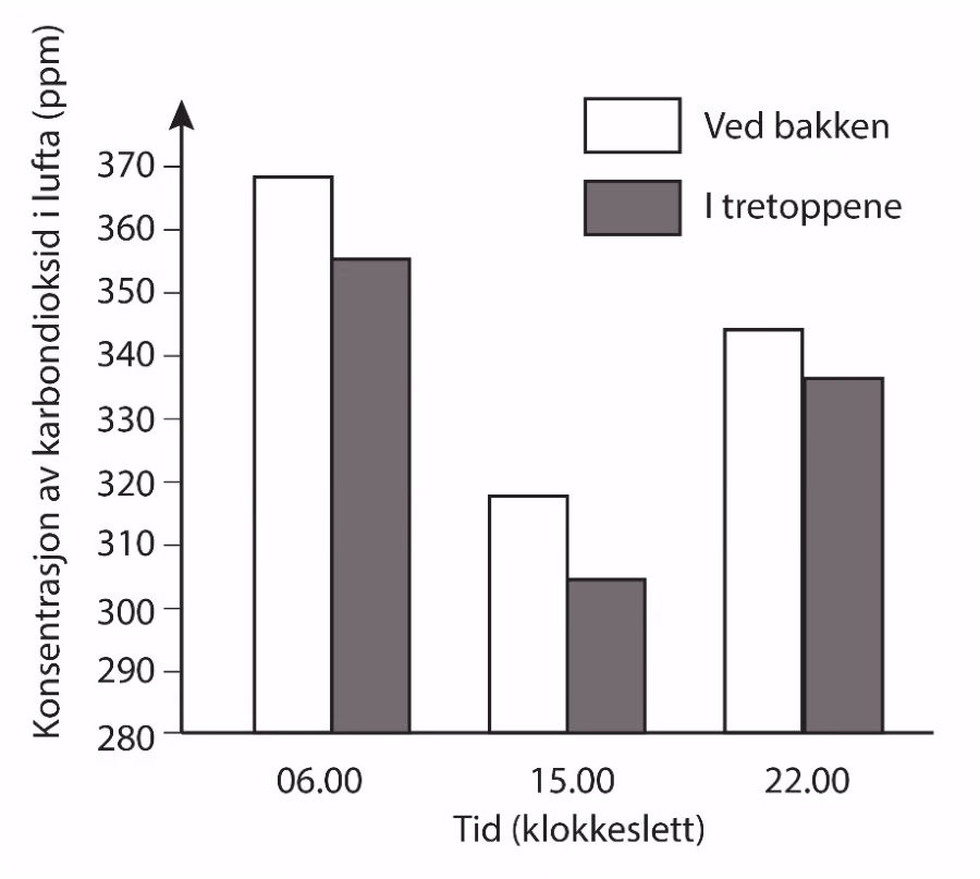 Konsentrasjonen av CO₂ nede ved bakken og oppe i tretoppene.
