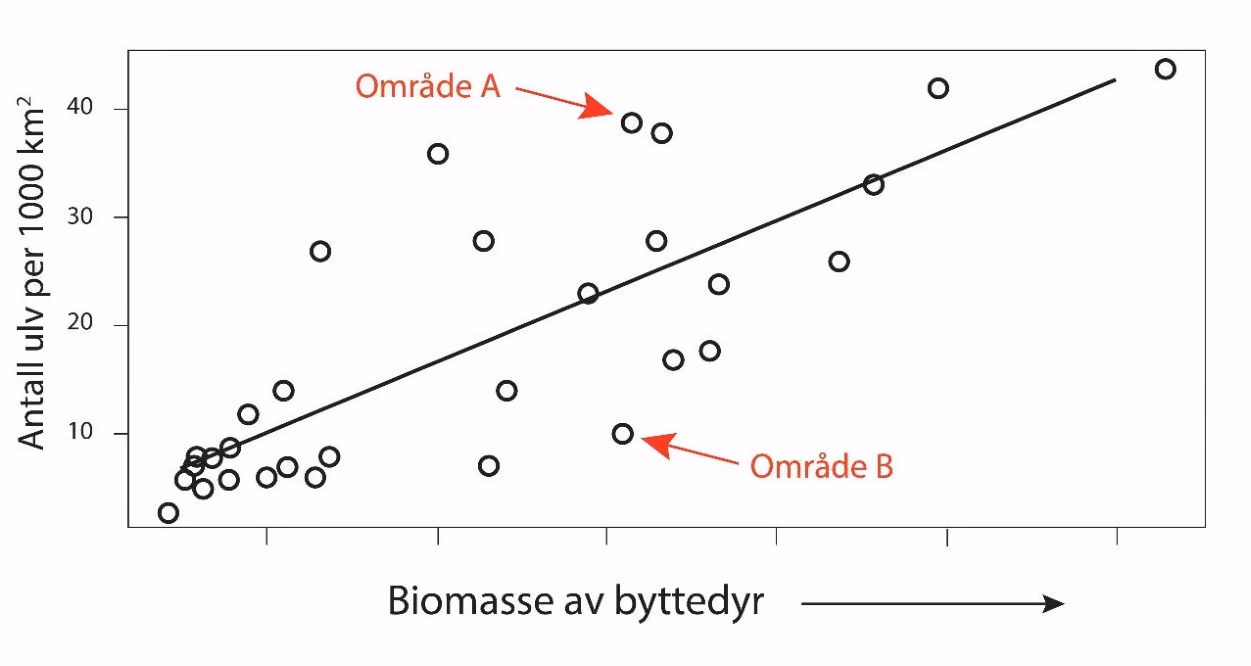 Antall ulv som funksjon av biomassen av byttedyr. Hver sirkel symboliserer et område.