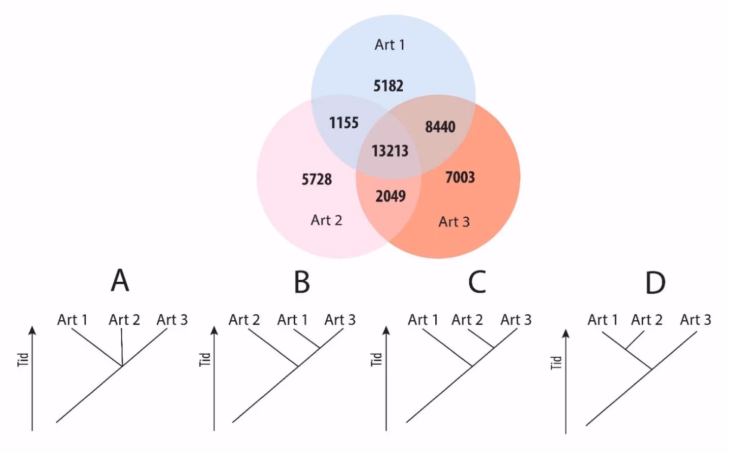 Venndiagram over genlagrene til Art 1, Art 2 og Art 3, og fire slektskapstrær A, B, C og D