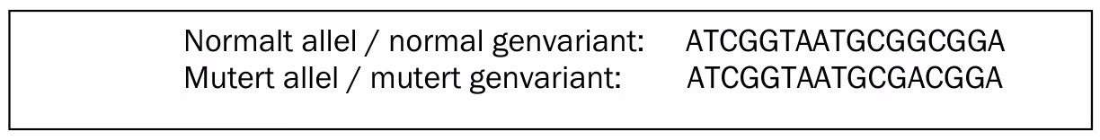Utsnitt av baserekkefølgen i et normalt allel og i et mutert allel