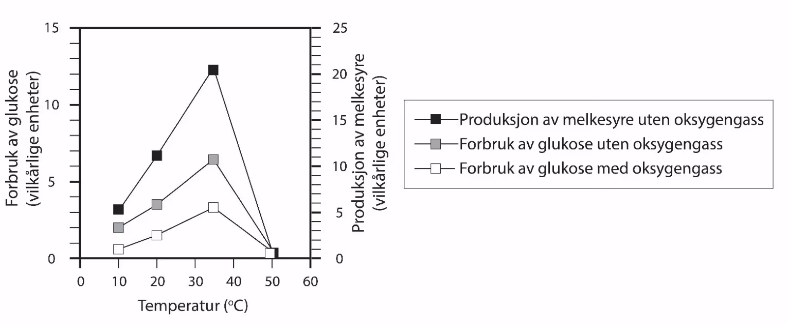 Forbruket av glukose og produksjonen av melkesyre i dyreceller med eller uten tilgang til oksygengass ved ulike temperaturer. Merk at glukose og melkesyre har hver sin måleskala.