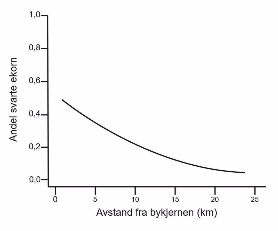 Hvordan andelen svarte ekorn varierer med avstanden fra bykjernen