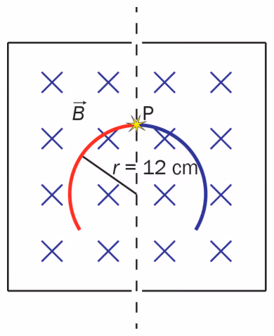To sirkelformede spor med radius 12 cm som starter i punktet P i magnetfeltet