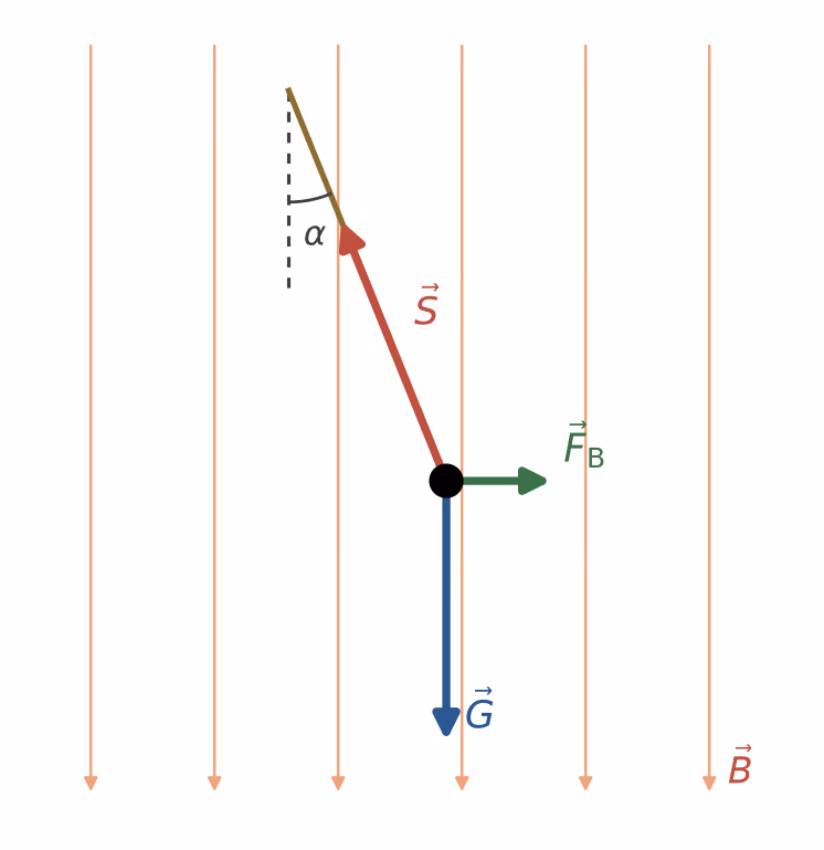 Kraftdiagram for strømlederen sett langs lederen