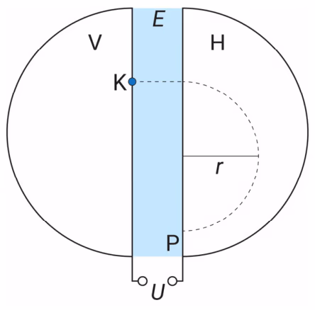 Elektrisk felt E mellom to plater med spenning U, magnetfeltområdene V og H på hver side, protonkilden K og halvsirkelbane med radius r fram til P