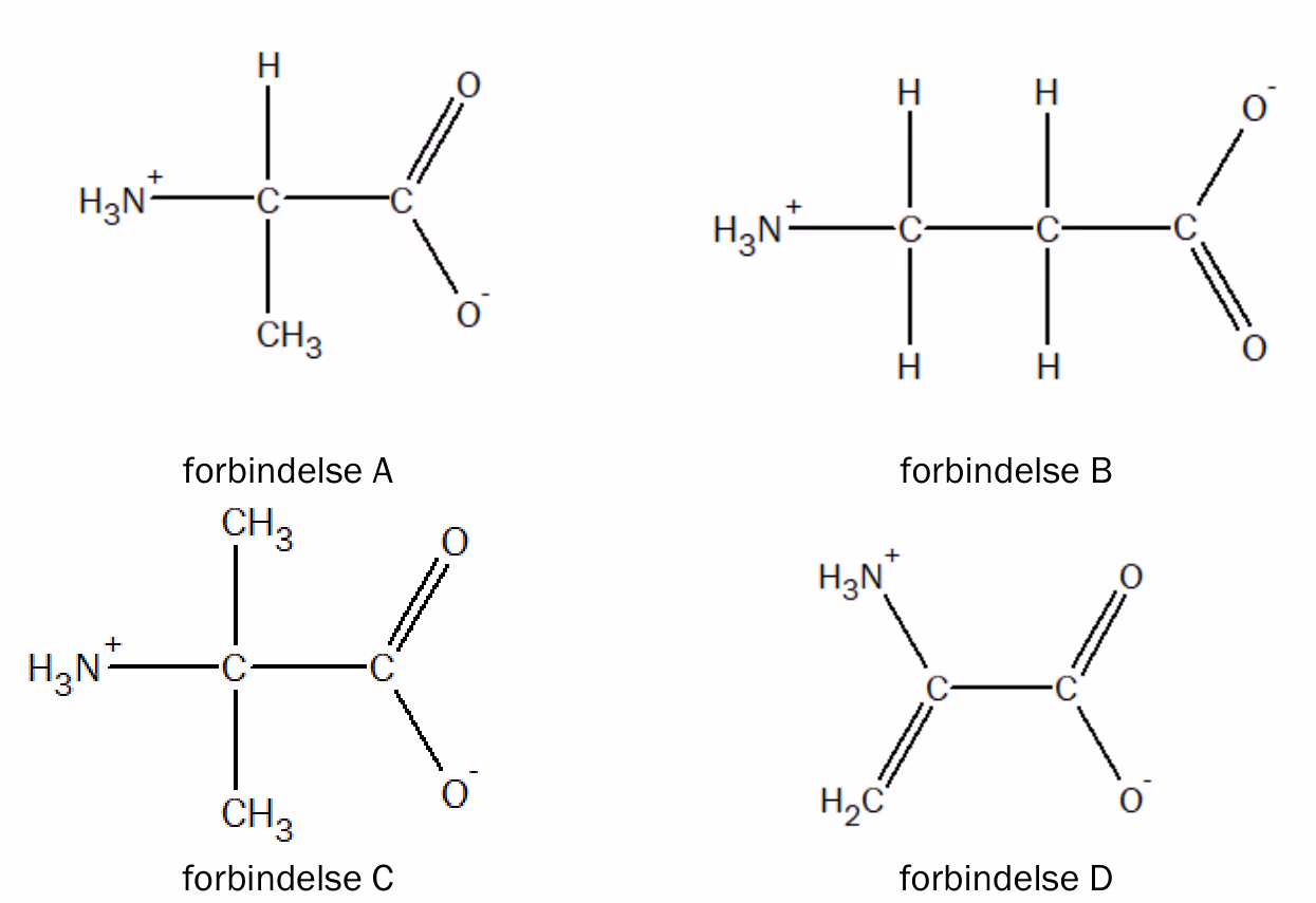 Strukturformler for fire aminosyrer på zwitterionform, forbindelse A, B, C og D