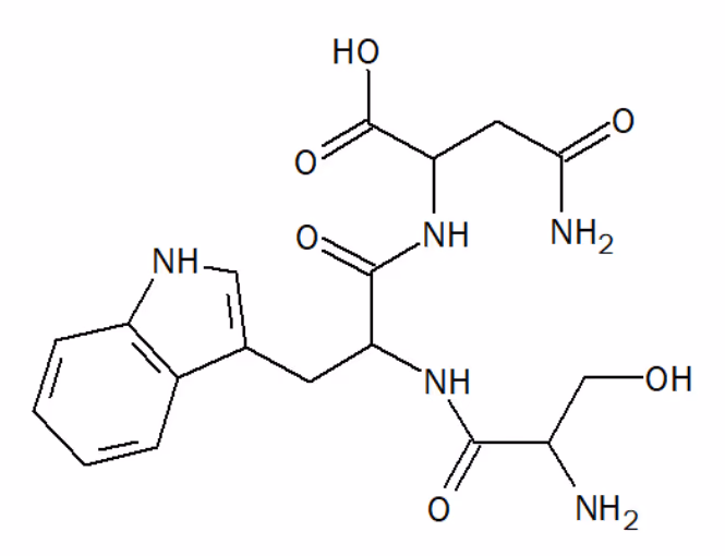 Strukturformel for et peptid med indolring, amidbindinger, hydroksygruppe og aminogrupper