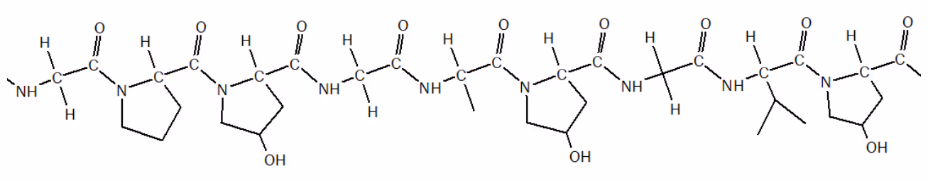 Utsnitt av polypeptidkjeden til kollagen med ni aminosyrerester, blant annet prolin og hydroksyprolin