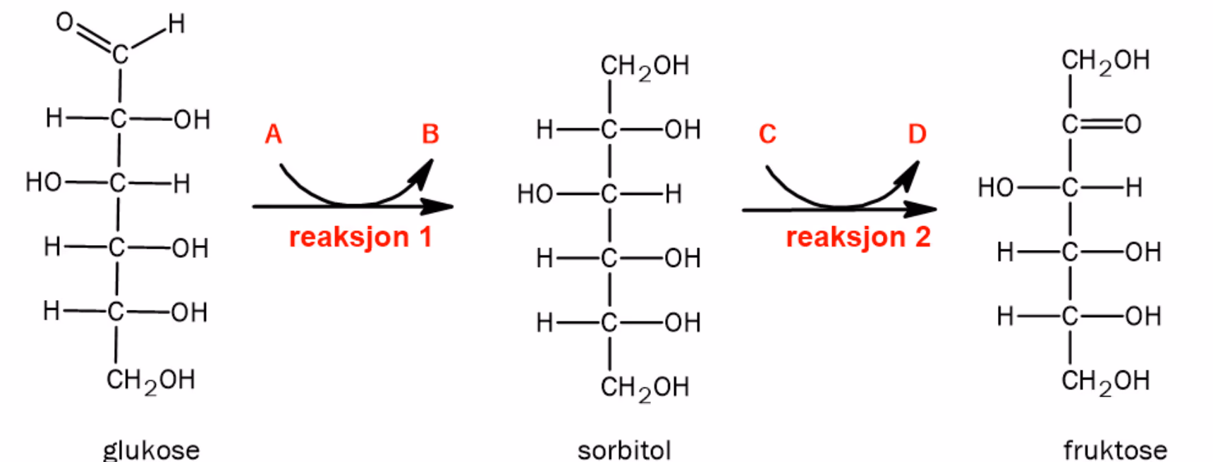 Glukose omdannes til sorbitol i reaksjon 1 (A inn, B ut) og sorbitol til fruktose i reaksjon 2 (C inn, D ut)