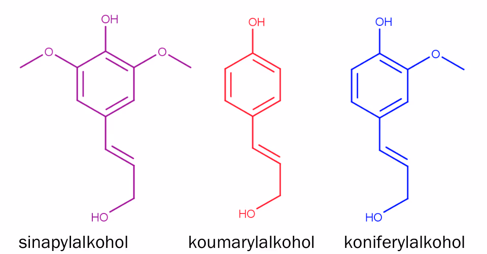 Strukturformler for sinapylalkohol, koumarylalkohol og koniferylalkohol