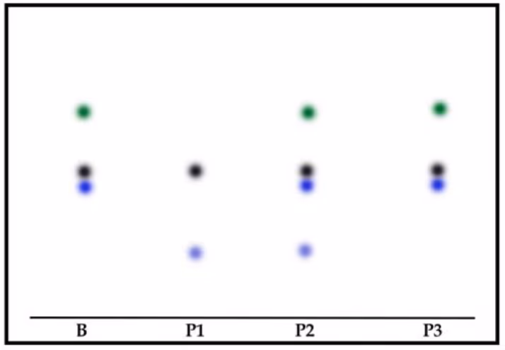 Kromatogram med flekker for blekket B og pennene P1, P2 og P3