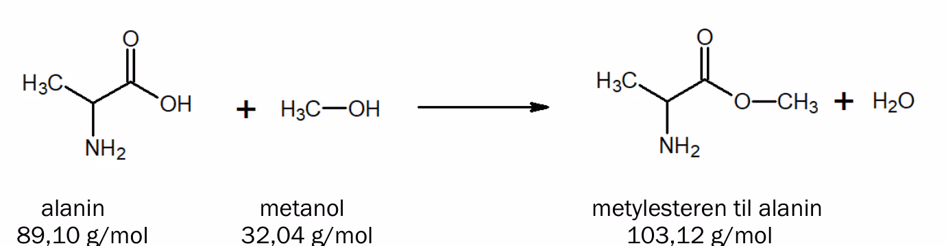 Alanin (89,10 g/mol) og metanol (32,04 g/mol) reagerer til metylesteren til alanin (103,12 g/mol) og vann