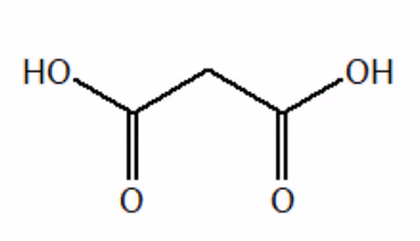 Malonsyre