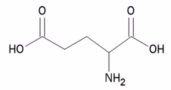 Skjelettformel for glutaminsyre