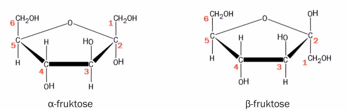 Haworth-formler for α-fruktose og β-fruktose med nummererte karbonatomer 1–6