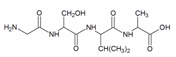 Strukturformel for et tetrapeptid