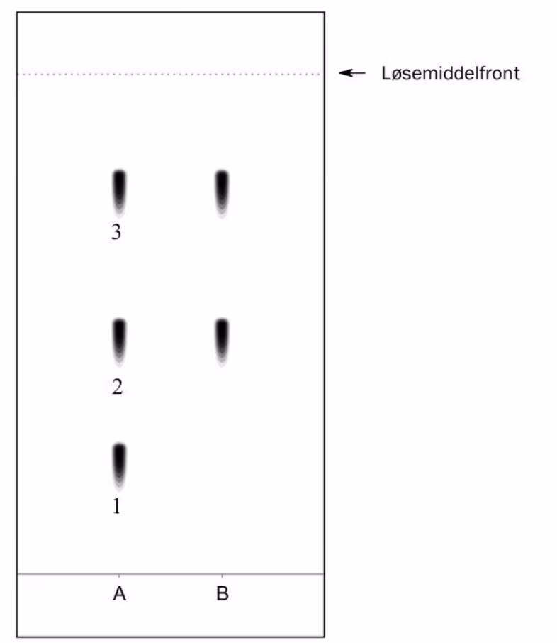 Tynnsjiktplate der prøve A har tre flekker 1, 2 og 3 og prøve B har to flekker, med markert løsemiddelfront