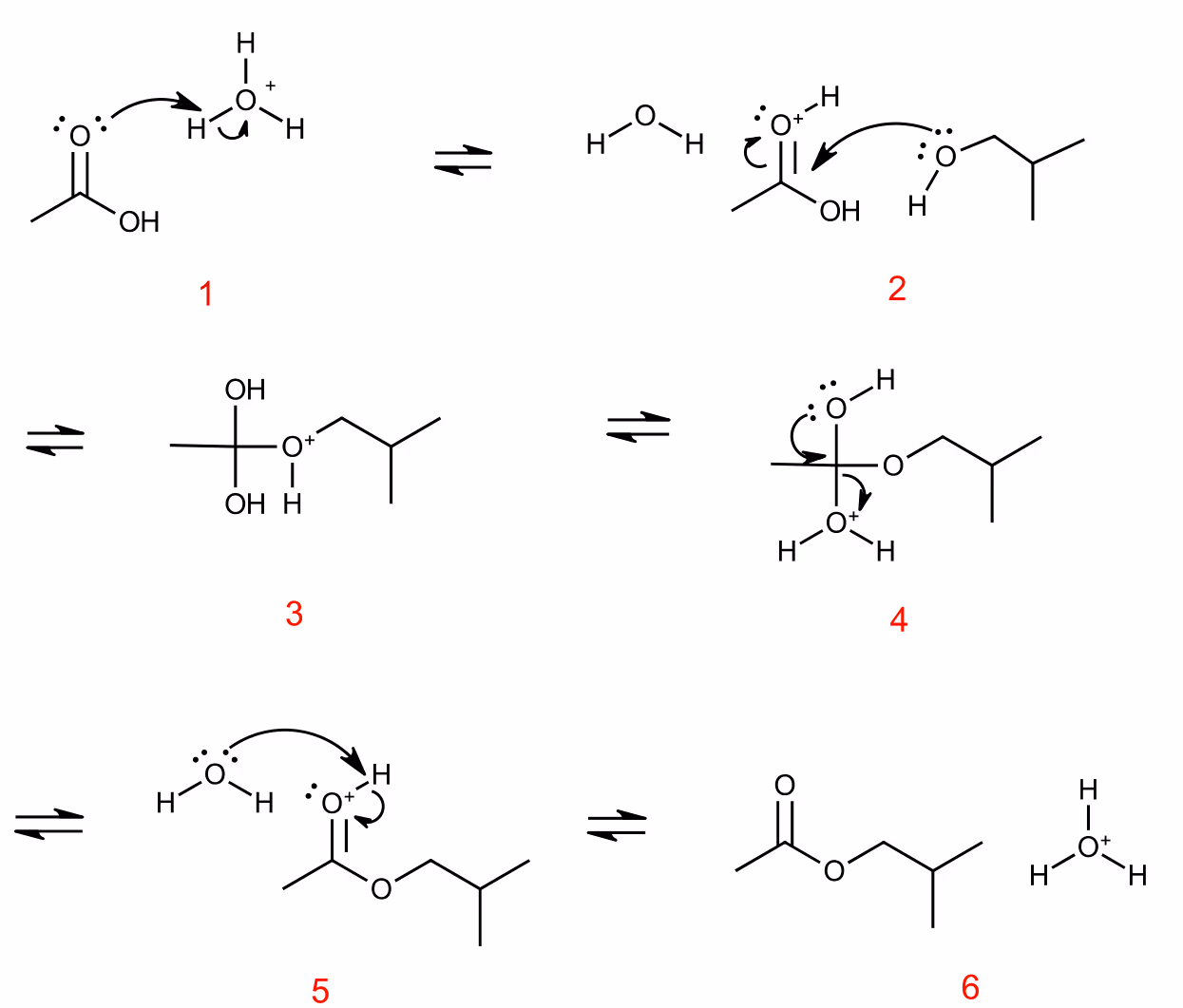 Reaksjonsmekanismen for syntesen av 2-metylpropyletanat