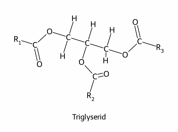 Forenklet strukturformel for et triglyserid