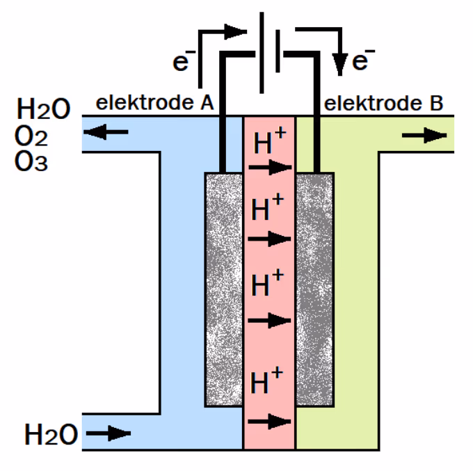 Elektrolysecelle der vann strømmer inn ved elektrode A og ut som vann, oksygen og ozon, mens H+-ioner vandrer gjennom en membran til elektrode B, med elektronstrøm i ytre krets