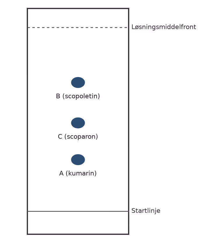 Skisse av tynnsjiktplaten med upolar stasjonær fase og polar mobil fase. B (scopoletin) øverst, C (scoparon) i midten og A (kumarin) nederst.