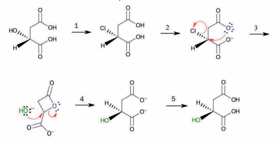 Syntesevei i fem trinn fra den ene stereoisomeren av eplesyre til den andre, via en klorforbindelse, et karboksylat som angriper karbonet med klor, et fireleddet laktonmellomprodukt som angripes av hydroksid, og til slutt protonering